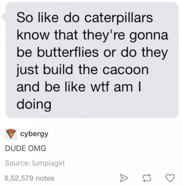 Still+wondering+about+this+one.