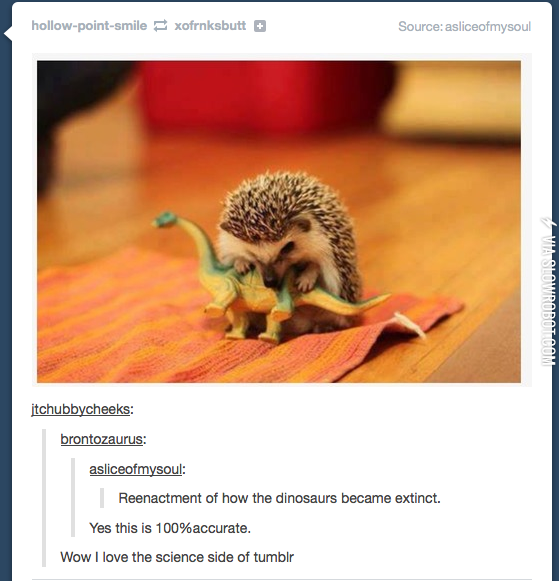 the+science+side+of+tumblr