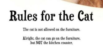 Rules+For+Every+Cat