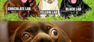 Meth+Lab