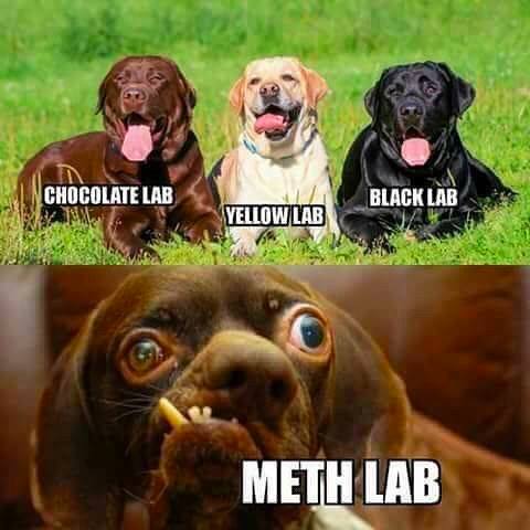 Meth+Lab