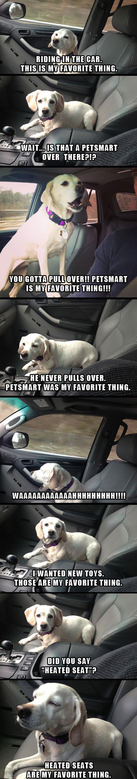 A+Dog%26%238217%3Bs+Favorite+Thing