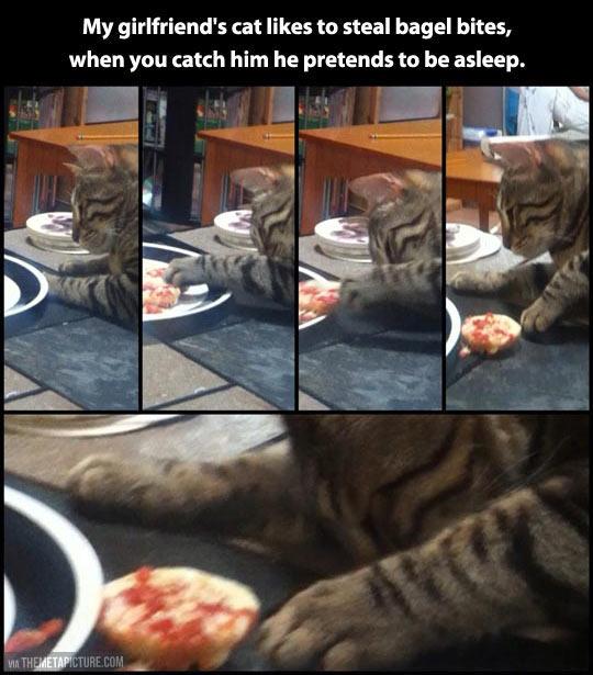 You+snooze+you+lose.