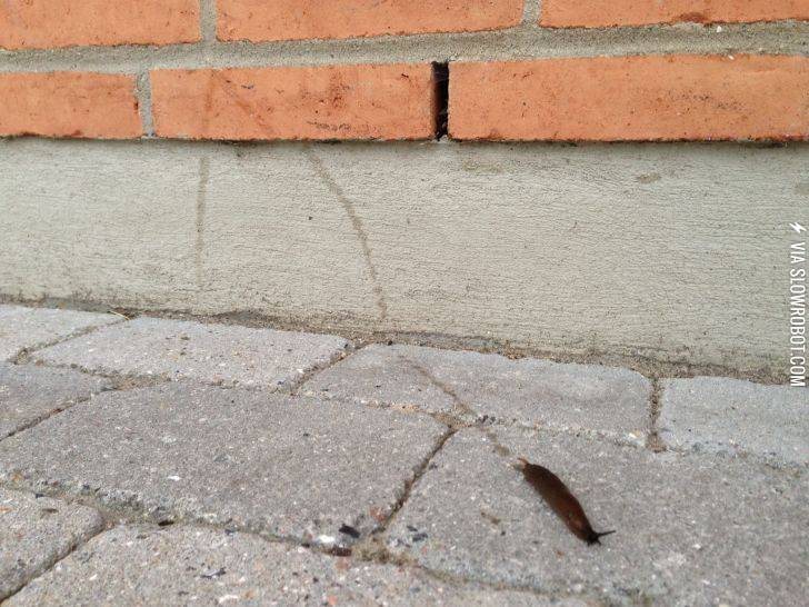 Slug+Parkour