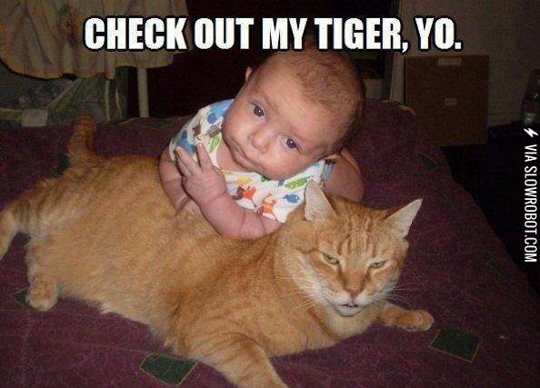 Check+out+my+tiger