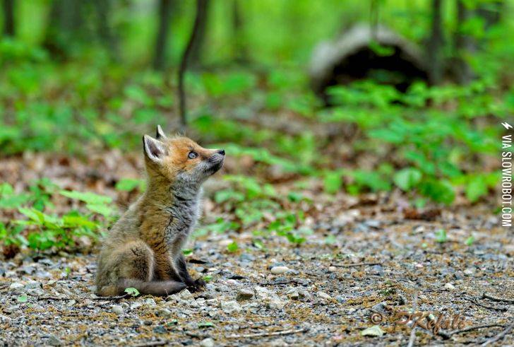 It%26%238217%3Bs+a+big+world+out+there