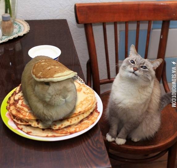 %26quot%3BWaiter%26%238230%3B+there%26%238217%3Bs+a+hare+in+my+pancakes%21%26quot%3B