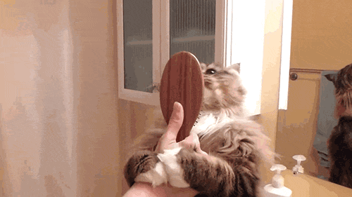 It%26%238217%3Bs+a+matter+of+beauty.