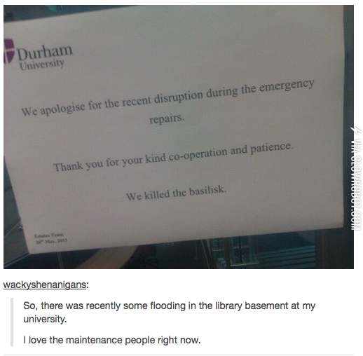 We+killed+the+basilisk