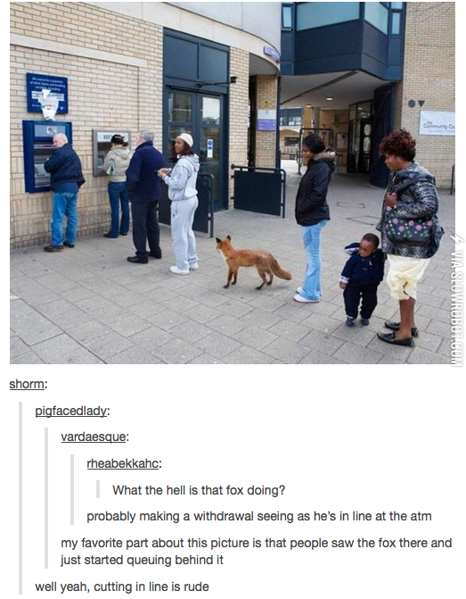 what+the+hell+is+that+fox+doing%3F%21