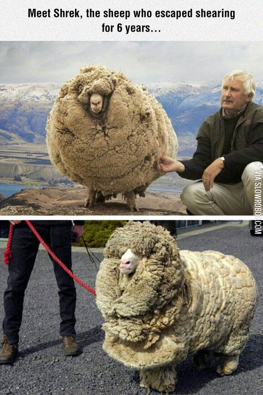 This+isn%26%238217%3Bt+even+my+final+form%26%238230%3B