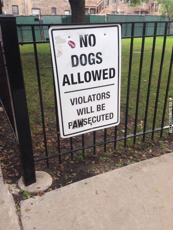 No+dogs+allowed.