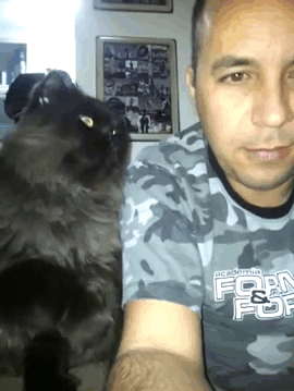 %26quot%3BHooman%2C+pet+me+please%26quot%3B