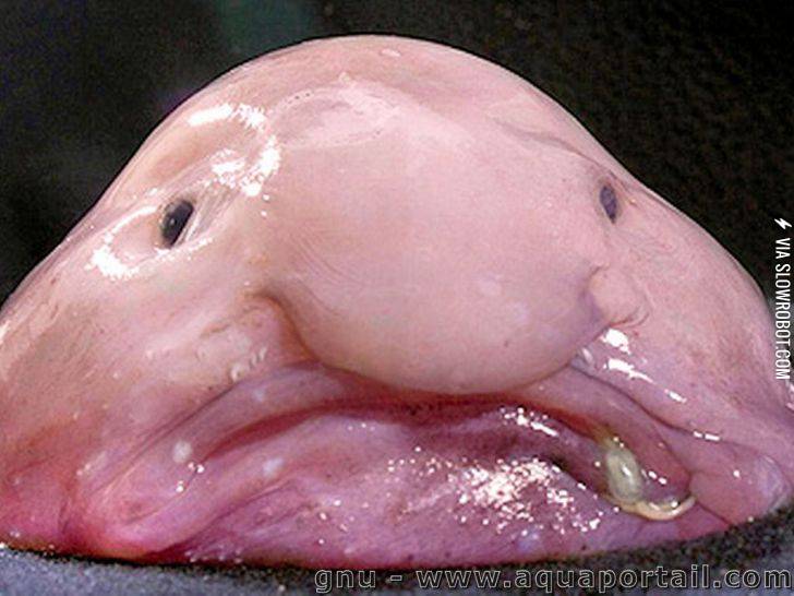 Don%26%238217%3Bt+Stare%2C+It+Will+Steal+Your+Soul.