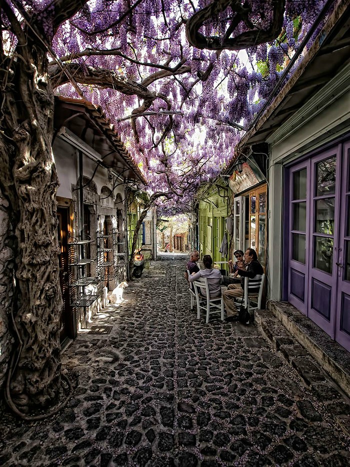 Magical+flower+street+in+Greece