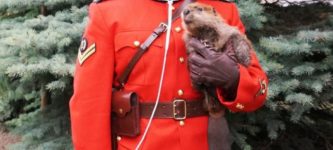Mountie+posing+with+a+baby+beaver+%3D+One+of+the+most+Canadian+photos+ever