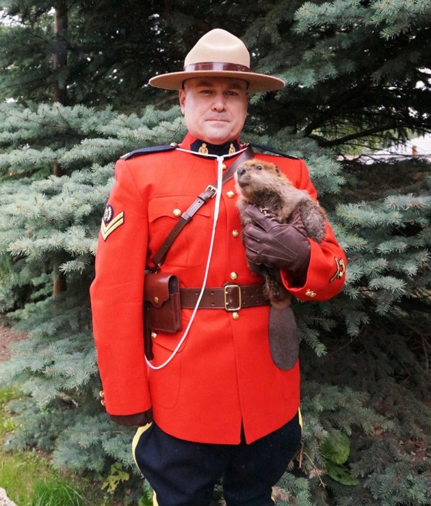 Mountie+posing+with+a+baby+beaver+%3D+One+of+the+most+Canadian+photos+ever