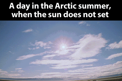 The+arctic+summer.