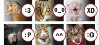 Cat+face+emoticons