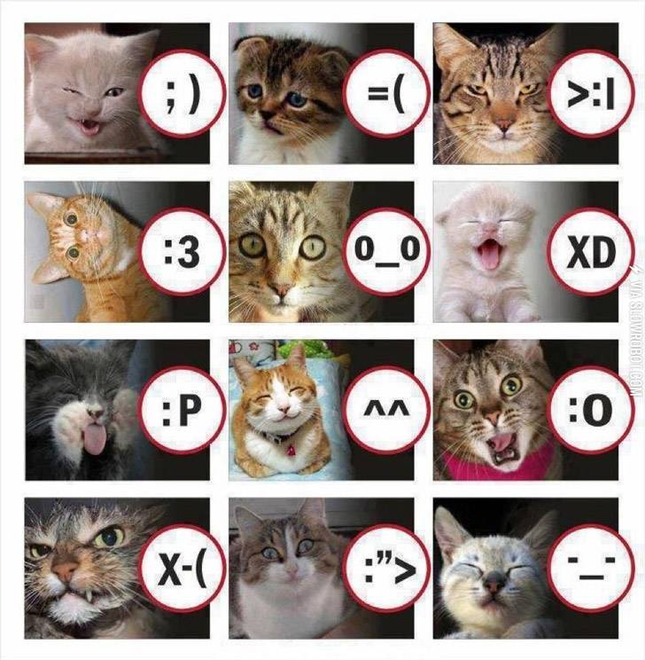 Cat+face+emoticons