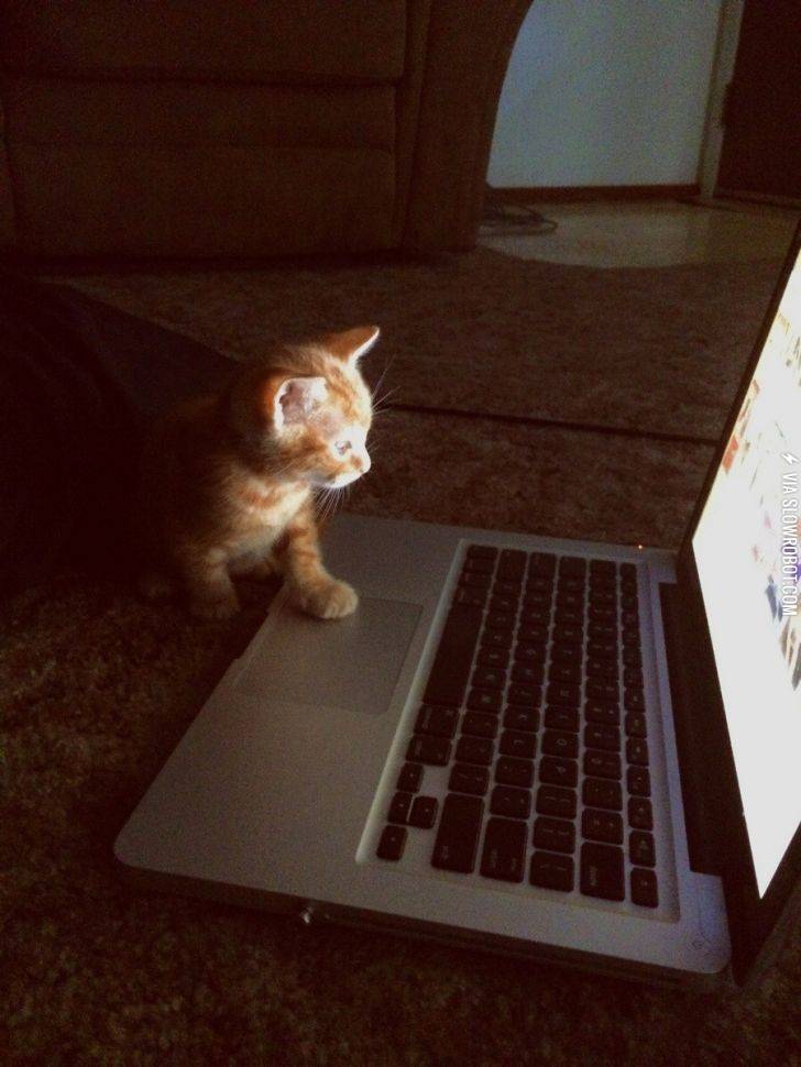 She+helps+me+choose+what+to+watch+on+Netflix%26%238230%3B