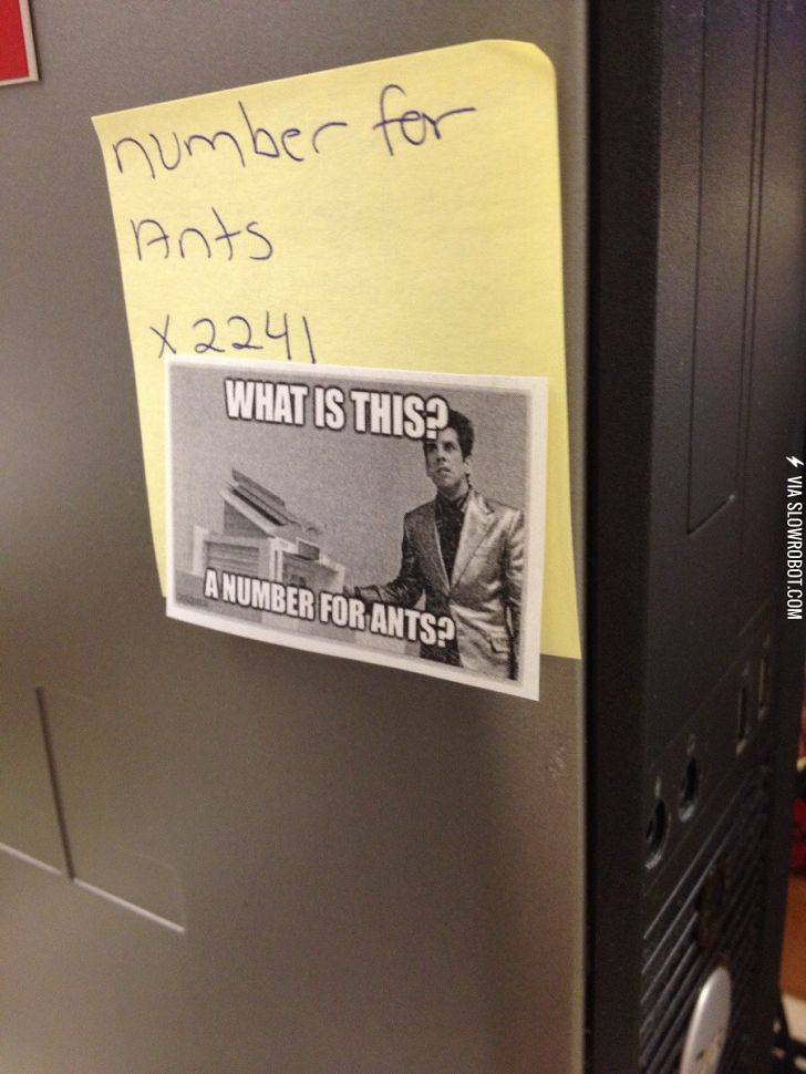 We+had+an+ant+problem+at+work