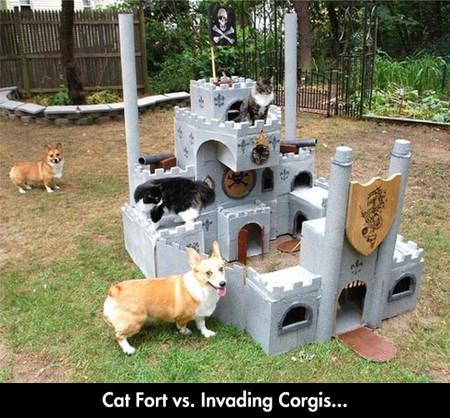 Cat+Fort+Vs.+Invading+Corgis%26%238230%3B