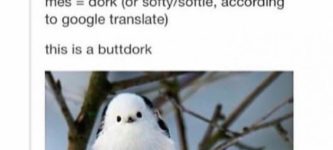 buttdork%26%238217%3Bs+are+kawaii