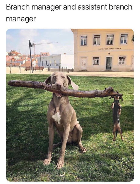 %26quot%3BI%26%238217%3Bm+helping%21%26quot%3B