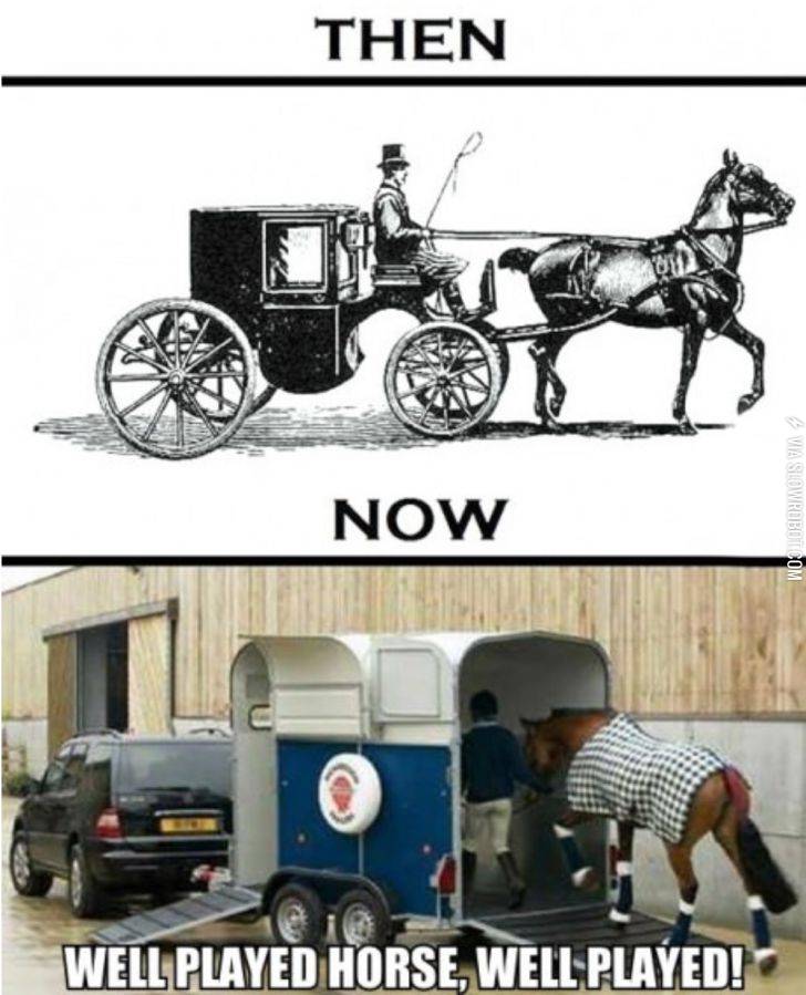 Horses%2C+now+and+then.