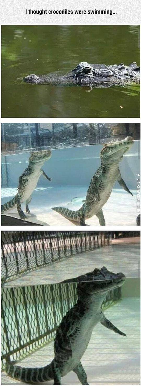 My+Whole+Life+Has+Been+Lies