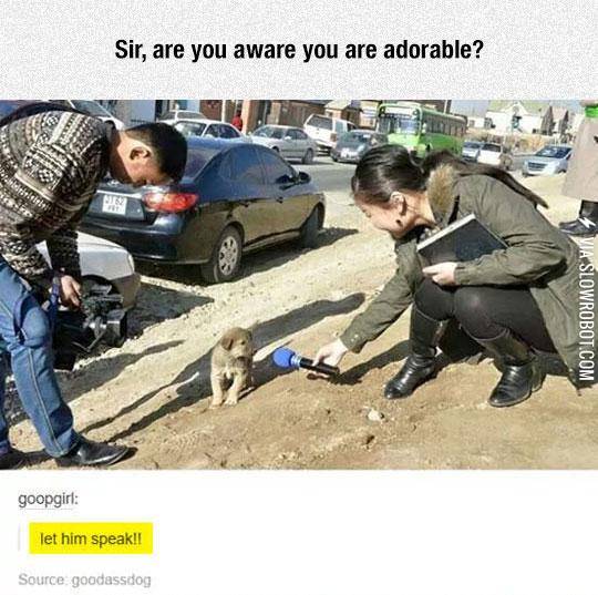 Are+You+Aware+Sir%3F