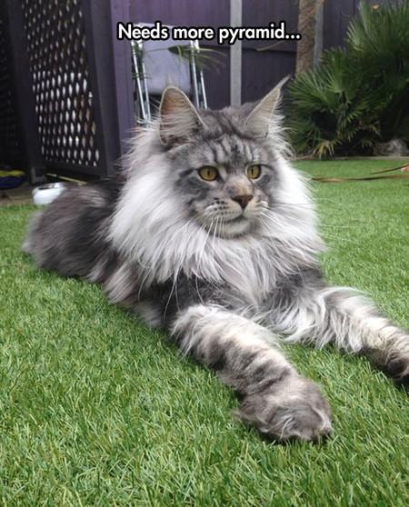 Needs+More+Pyramid%26%238230%3B