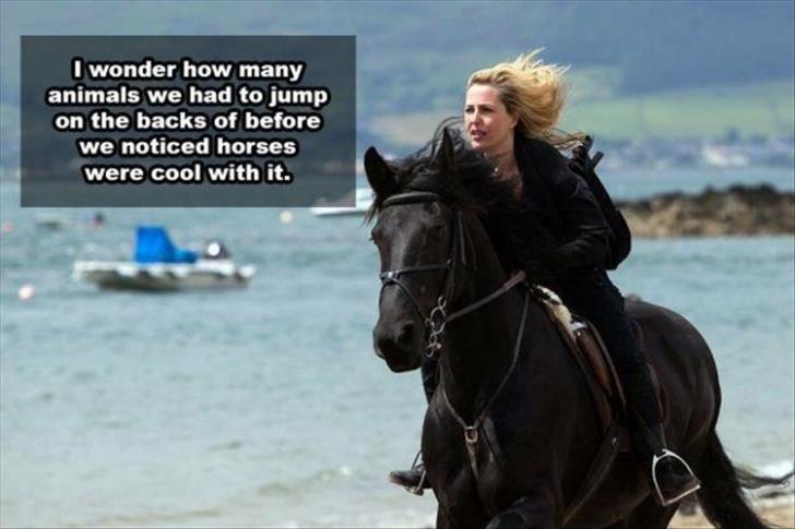 Horses+ARE+cool