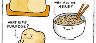 Complex+carbohydrates