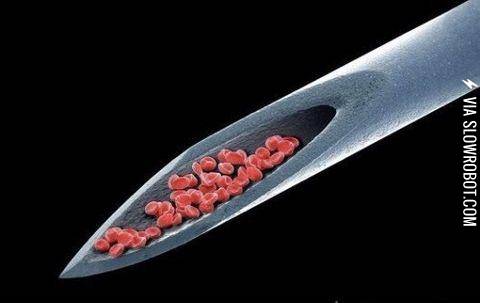 Blood+cells+on+a+syringe+viewed+via+an+Electron+Microscope