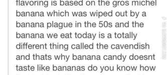 The+banana+apocalypse