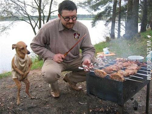 Dobby+thanks+master+for+the+BBQ