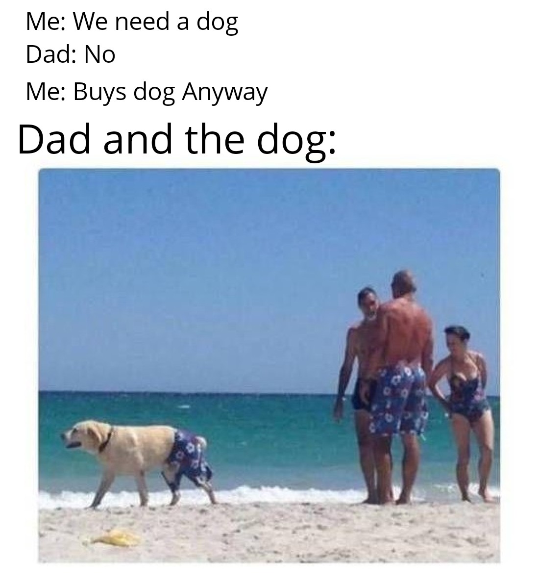 OK+so+that%26%238217%3Bs+how+they+wear+the+pants%26%238230%3B