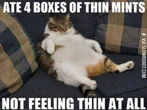 %26quot%3BThin%26quot%3B+mints