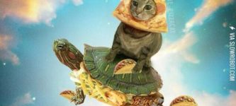 Pizzacat%21