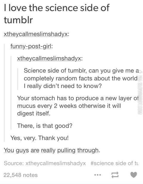 The+science+side+of+tumblr+never+fails+to+deliver