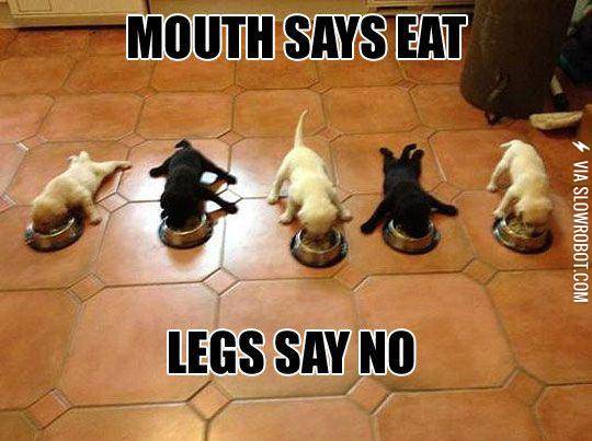 When+You%26%238217%3Bre+Tired+And+Hungry+At+The+Same+Time