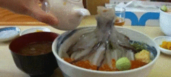 Sodium+%2B+Dead+Cuttlefish