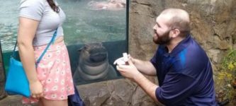 Baby+Hippo+photobombs+couple%26%238217%3Bs+engagement+photo