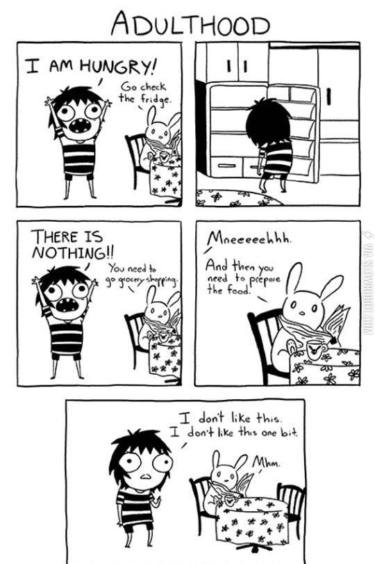 I+Don%26%238217%3Bt+Like+Adulthood