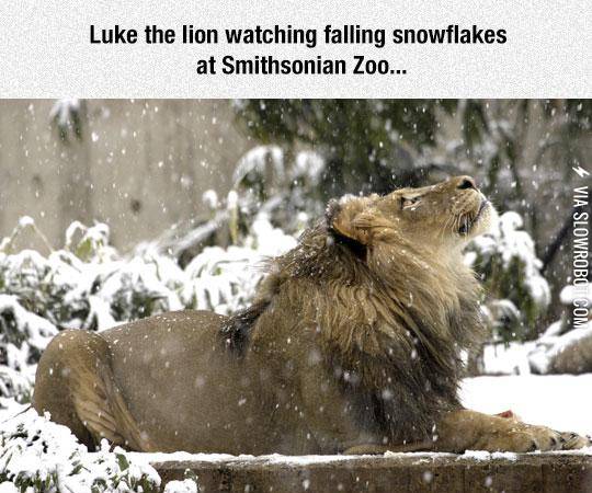 Beautiful+And+Captivating