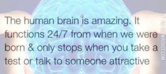 The+Human+Brain+Is+Amazing