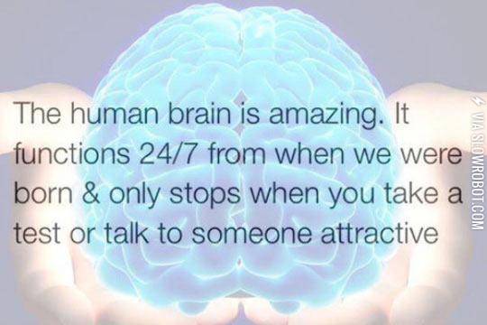 The+Human+Brain+Is+Amazing