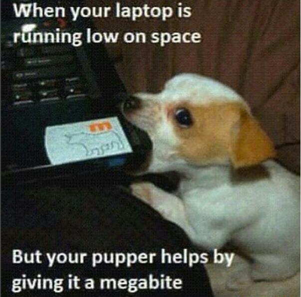 I+need+an+extra+megabite